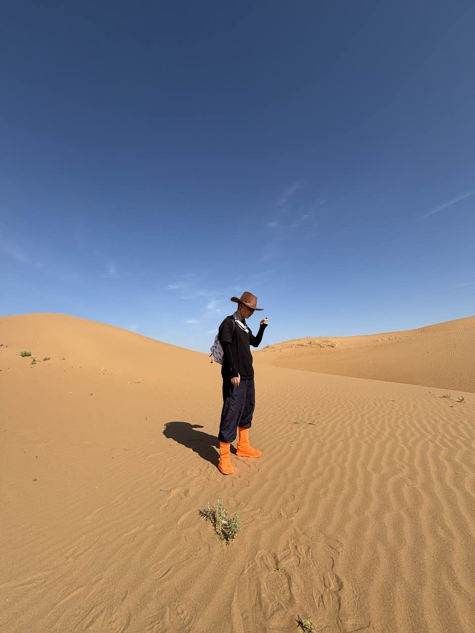 照片